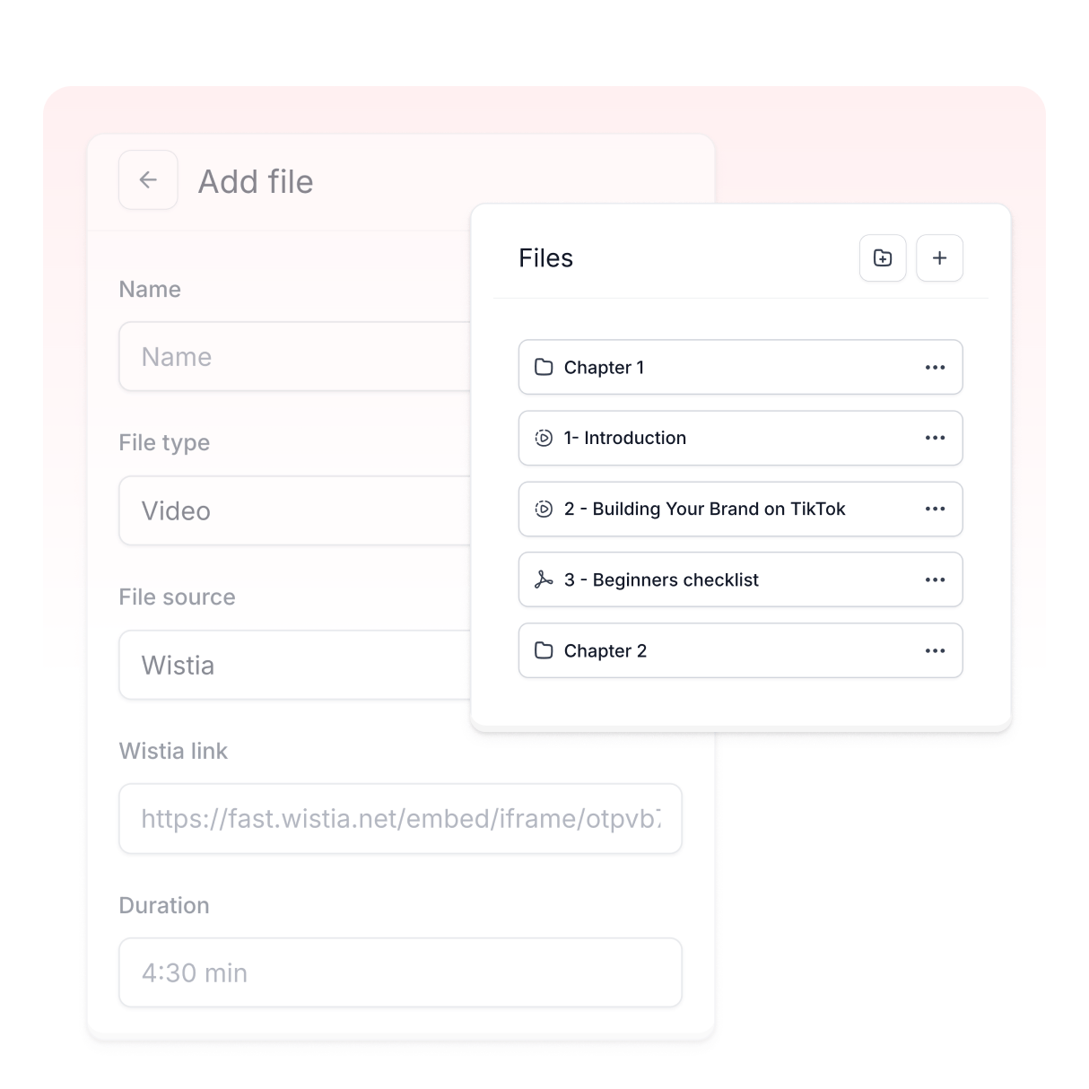 Easyplayer file type options