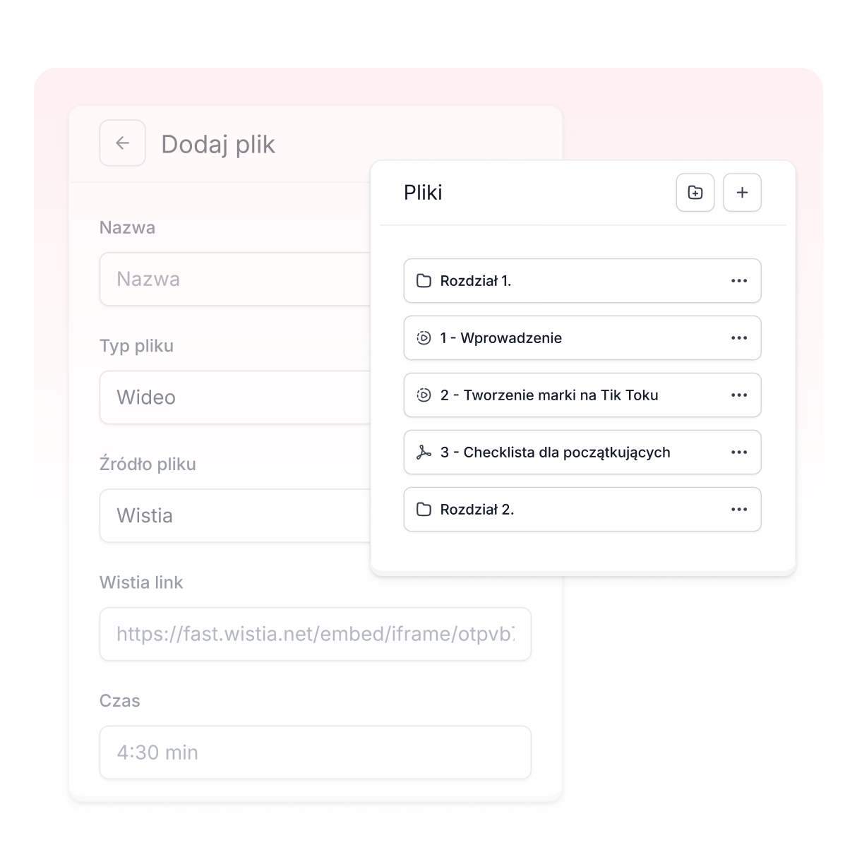 Formaty plików w Easyplayer