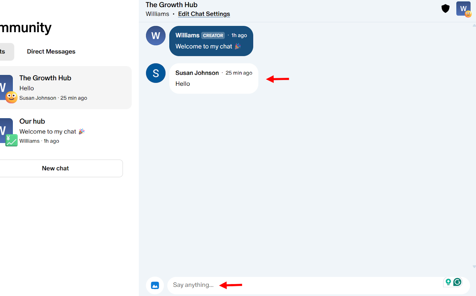 Chat interface showing a conversation in a community