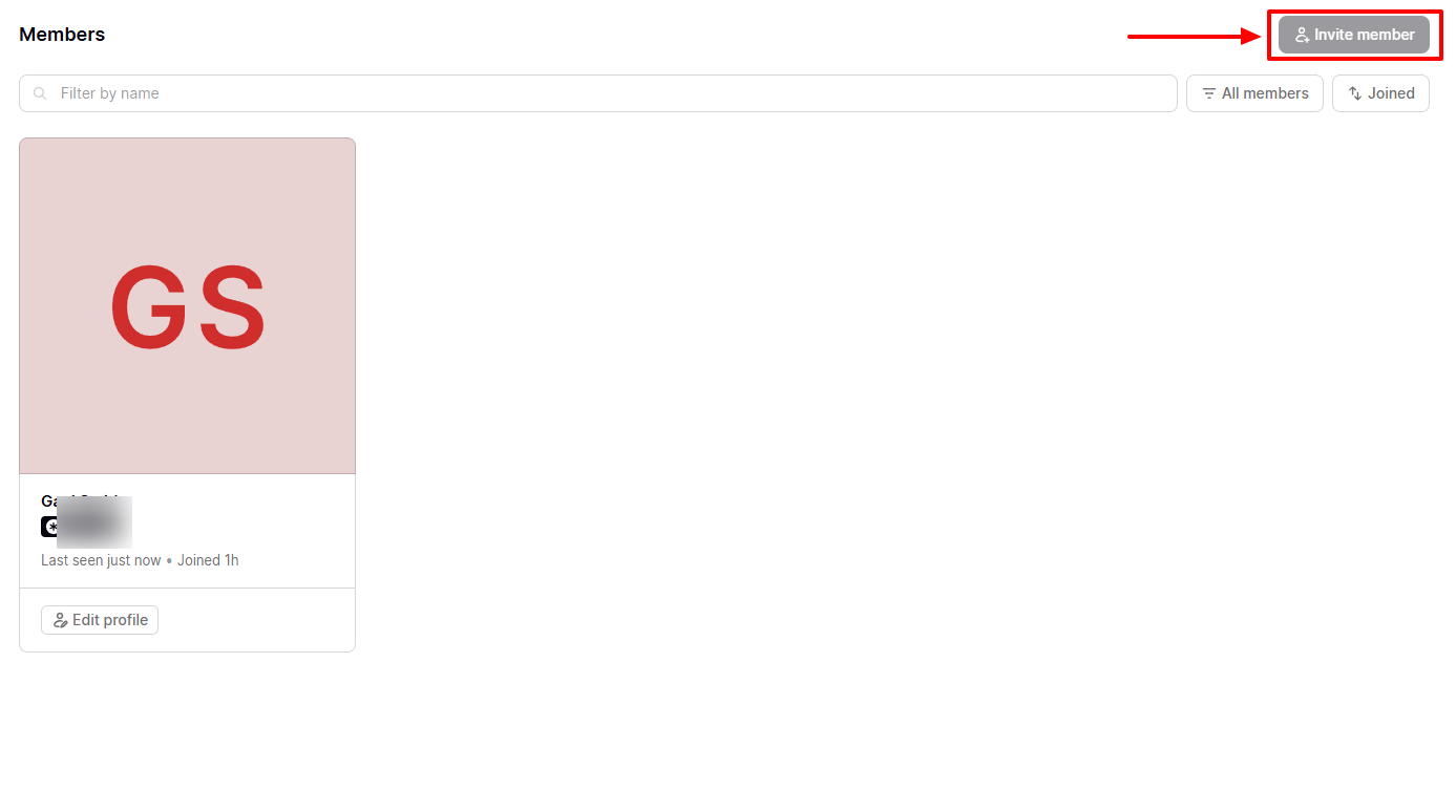 Members page displaying a single active user profile