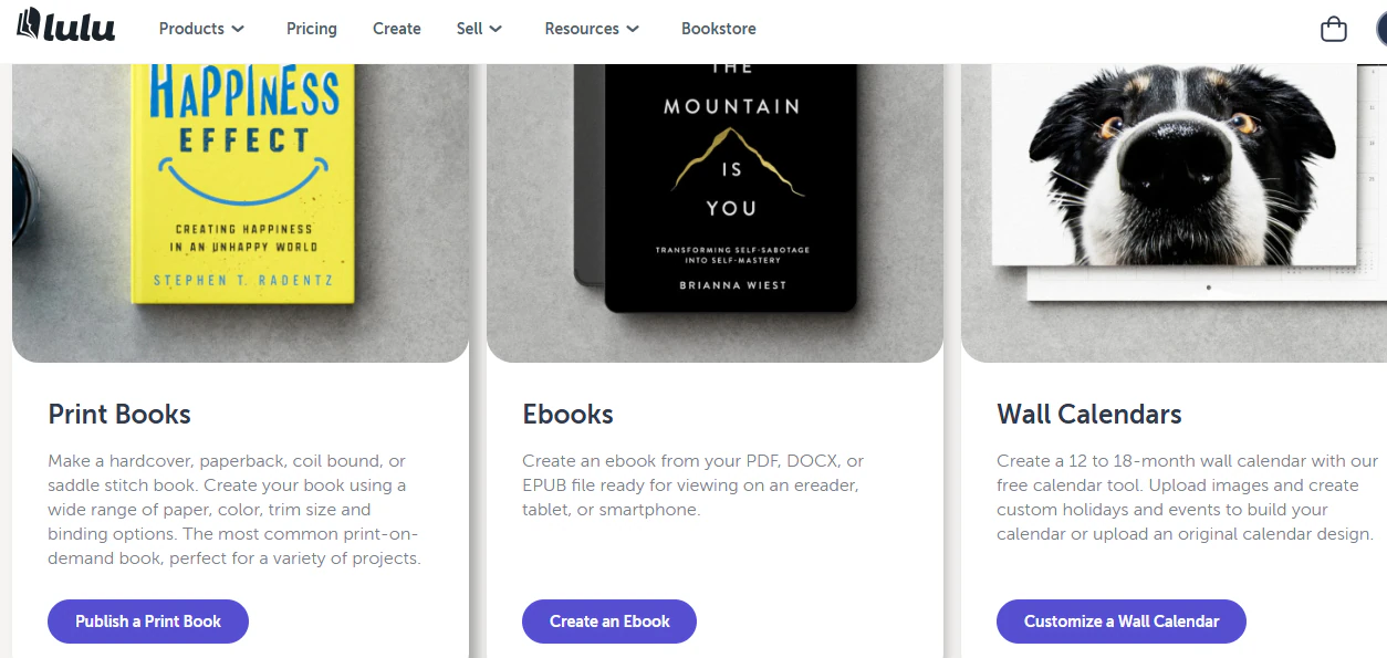 les options d'ebook disponibles à la création