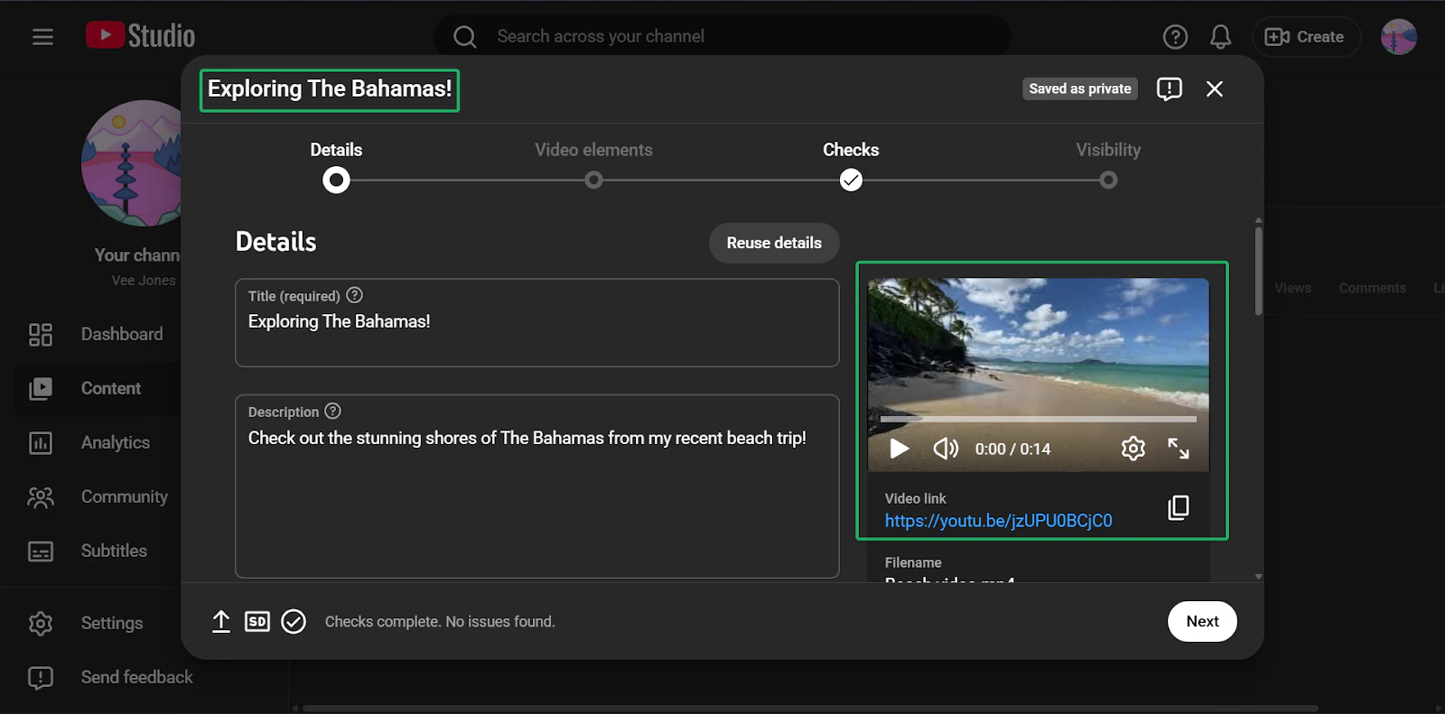 YouTube: capture du 📑 type de contenu