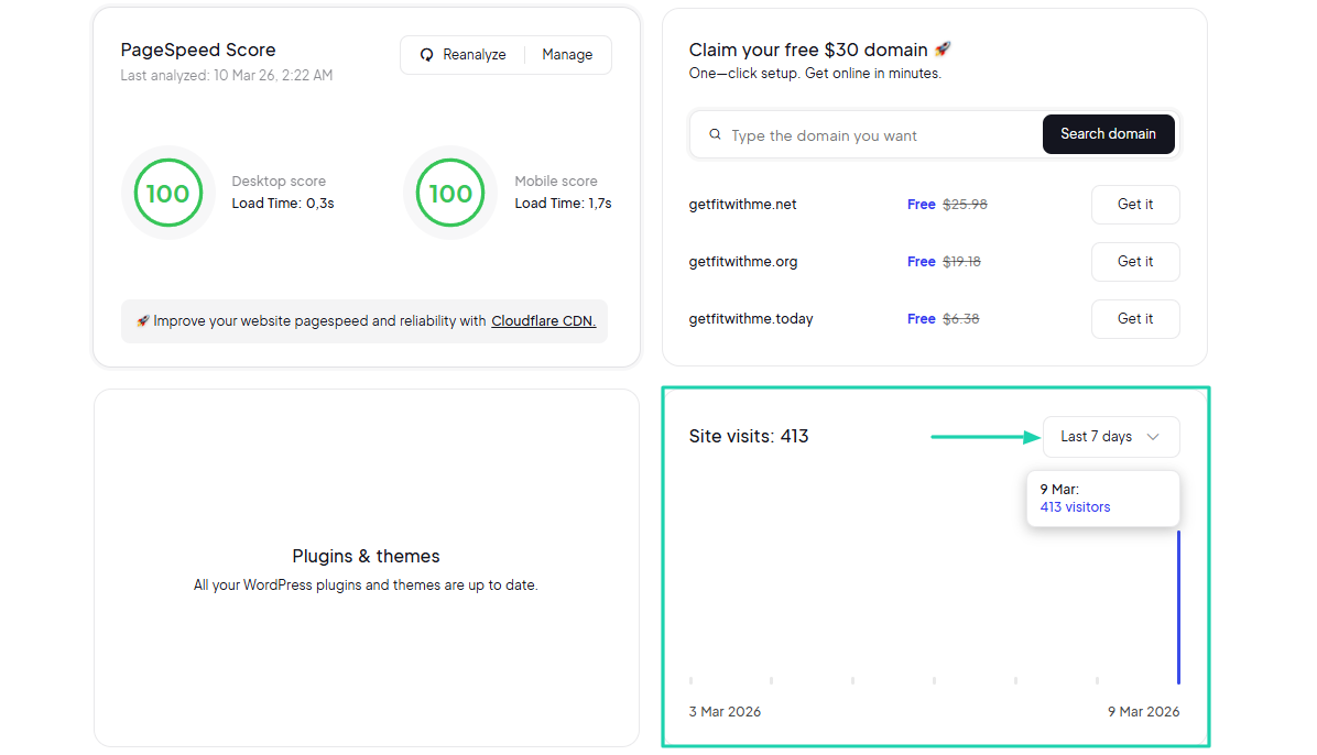 10Web: You can also see the number of site visits over a certain period.