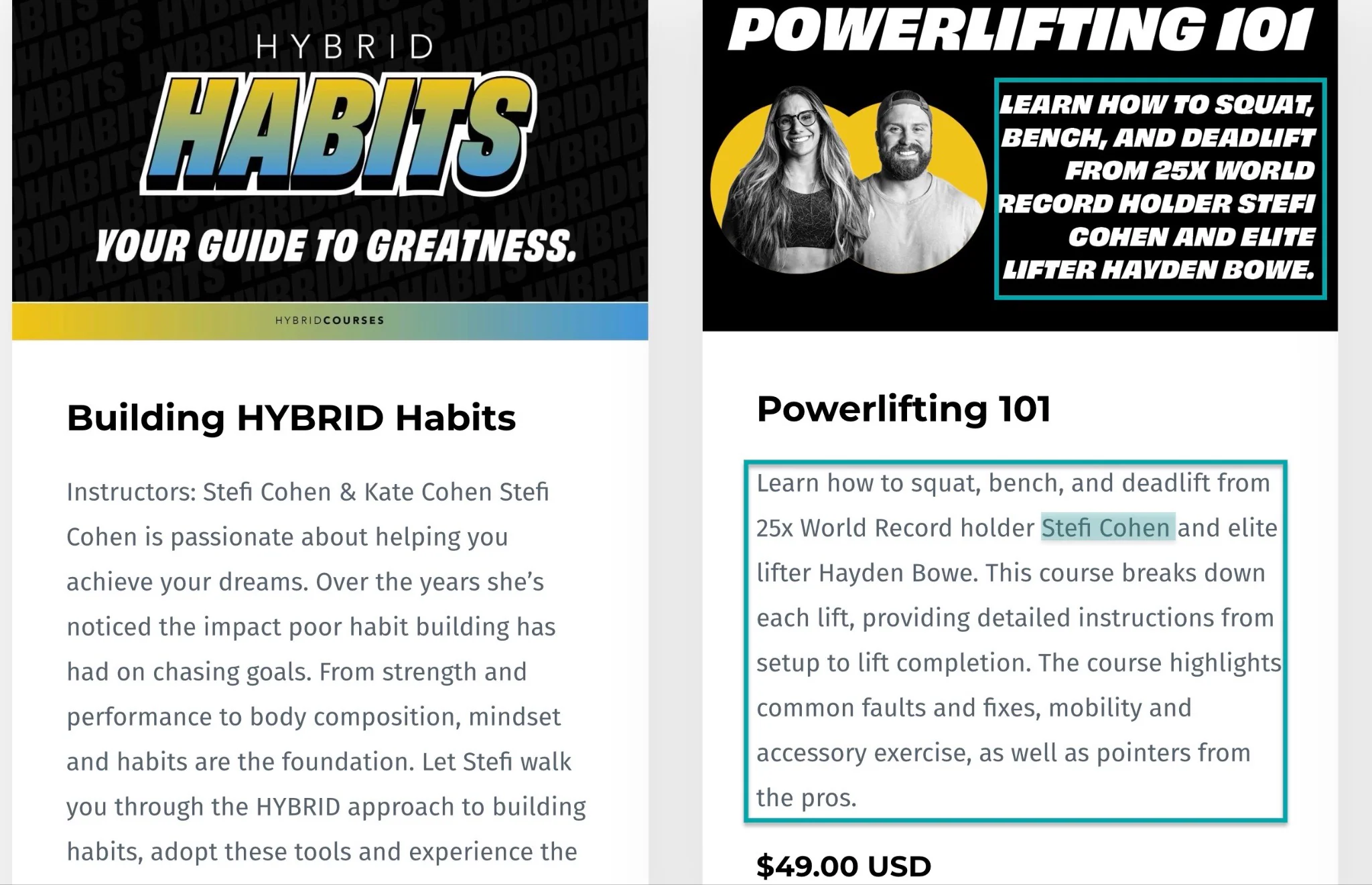 stefi cohen fitness programs