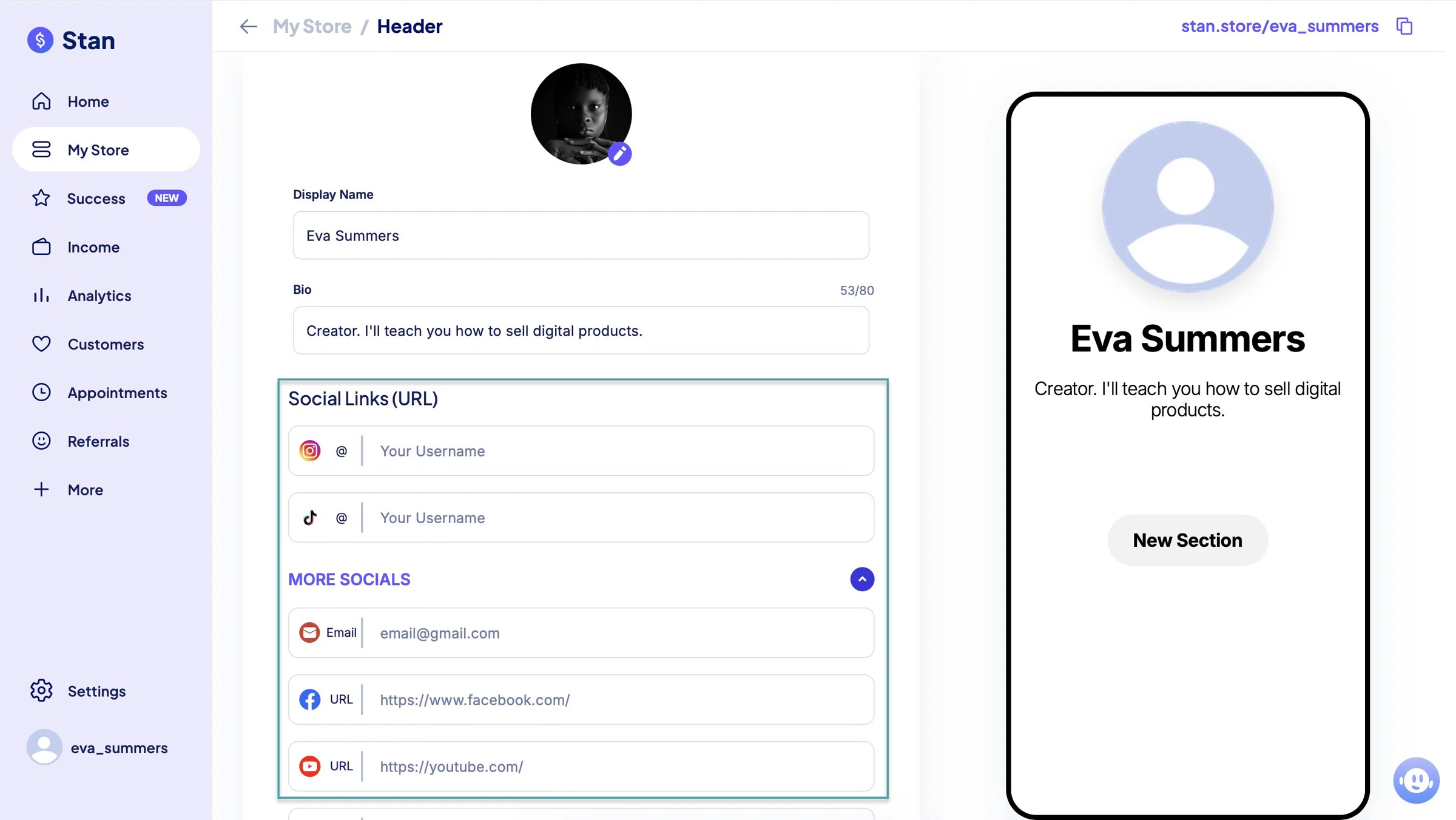 edit profile and socials on stan store