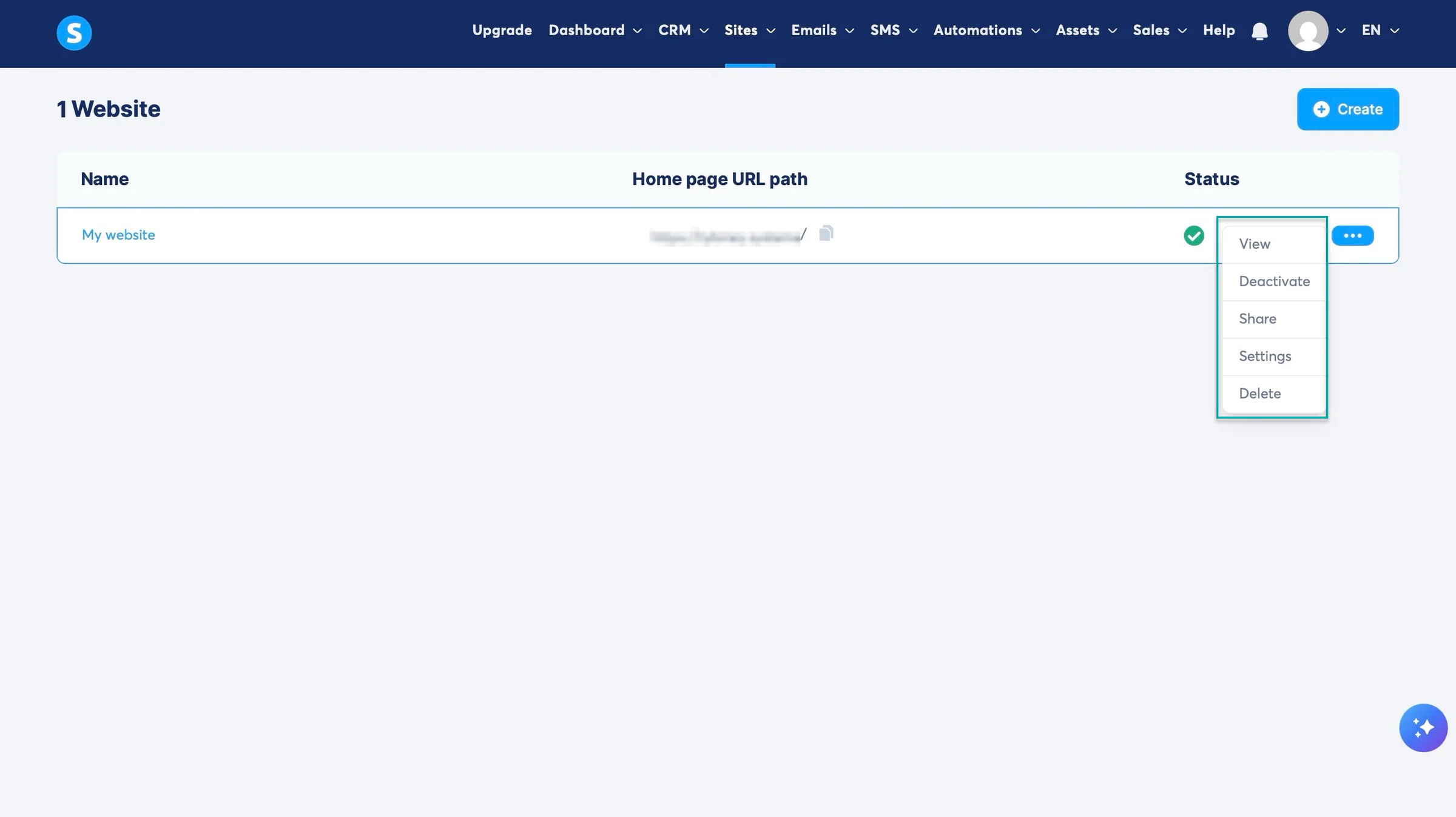 website options on systeme.io